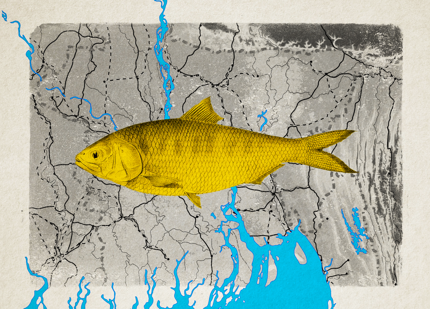 The fate of Bangladesh’s rivers and the bait of Hilsa diplomacy